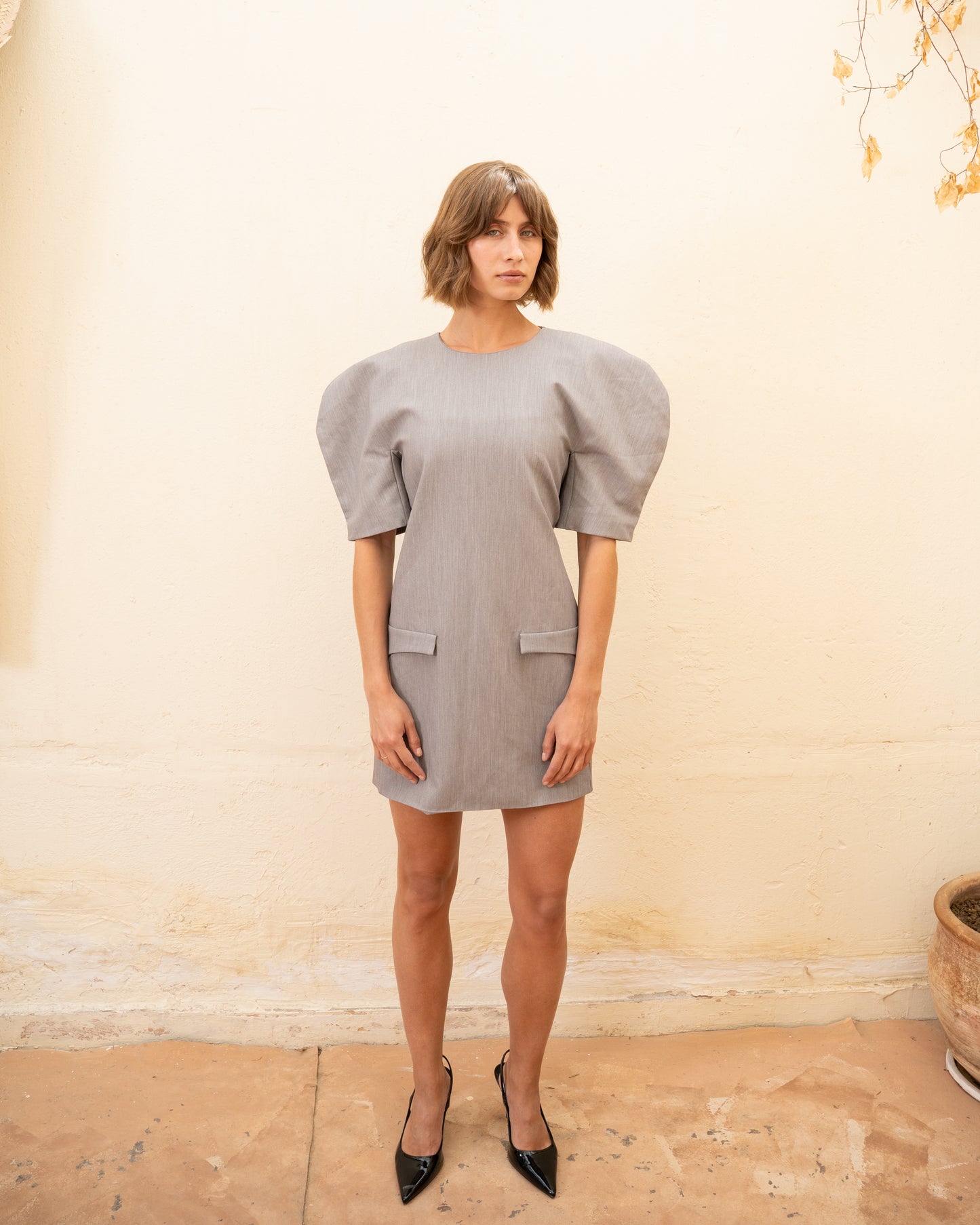Cloud Sleeve Dress